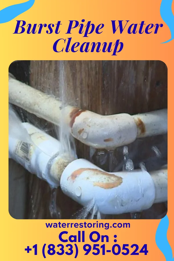 Burst Pipe Water Cleanup in Fruitland, IA