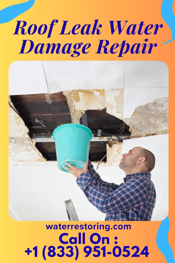 Roof Leak Water Damage Repair in Fruitland, IA